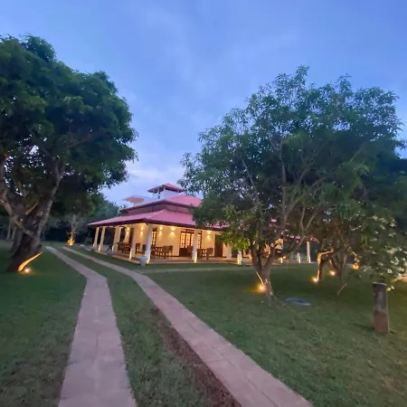 Hummingbird Leisure Villa-Anurâdhapura Extérieur photo