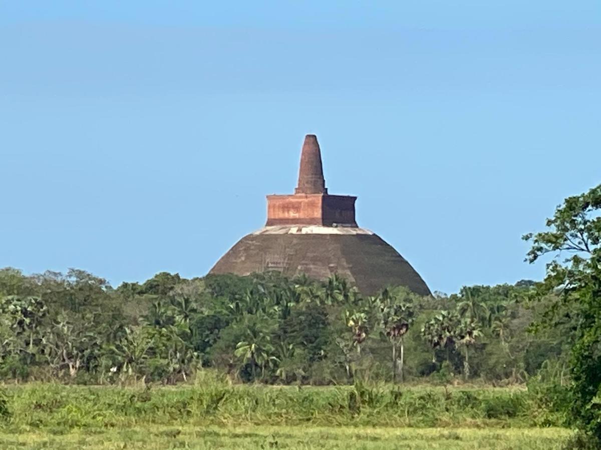Hummingbird Leisure Villa-anuradhapura *