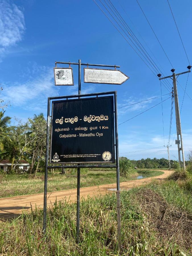 Hummingbird Leisure Villa-anuradhapura